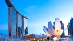 Yapay zeka ortalığı karıştırdı: Singapur’da sahte timsah paniği